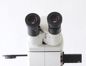 Microscopio DM1750 M Leica 