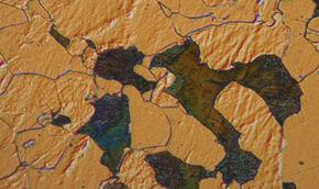 Microscopio DM1750 M Leica 