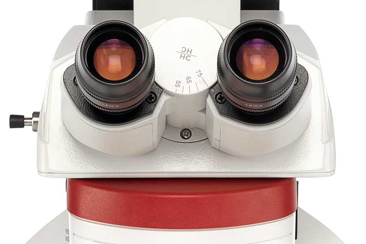 Microscopios verticales de materiales DM4 M & DM6 M Leica 