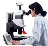  Microscopios Estereoscopicos Leica Microsystems 