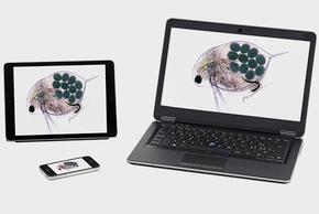 Estereomicroscopio EZ4 E Leica Estereomicroscopio EZ4 W Leica