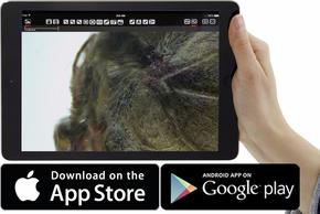 Estereomicroscopio EZ4 E Leica Estereomicroscopio EZ4 W Leica