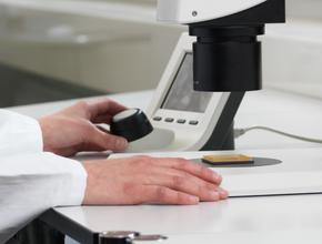 Microscopio De Investigacion M205 A Macroscopio M205 A Leica