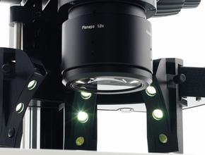 Microscopio De Investigacion M205 A Macroscopio M205 A Leica