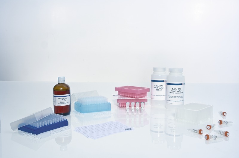 RNeasy 96 Universal Tissue 8000 Kit Qiagen